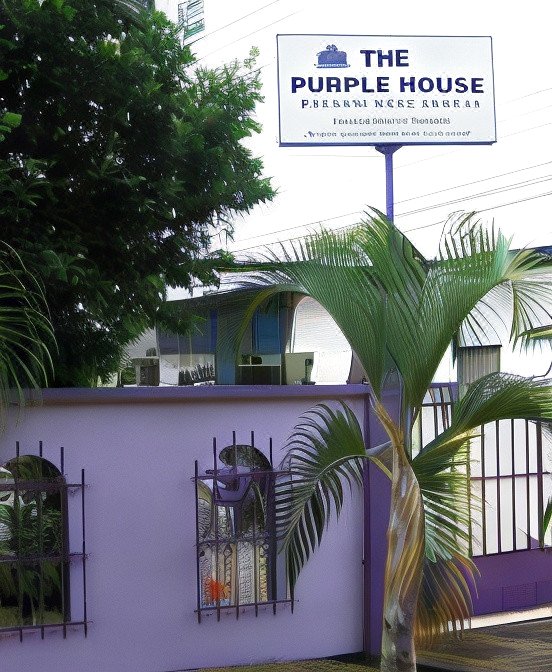 The Purple House International Backpacker Hostel