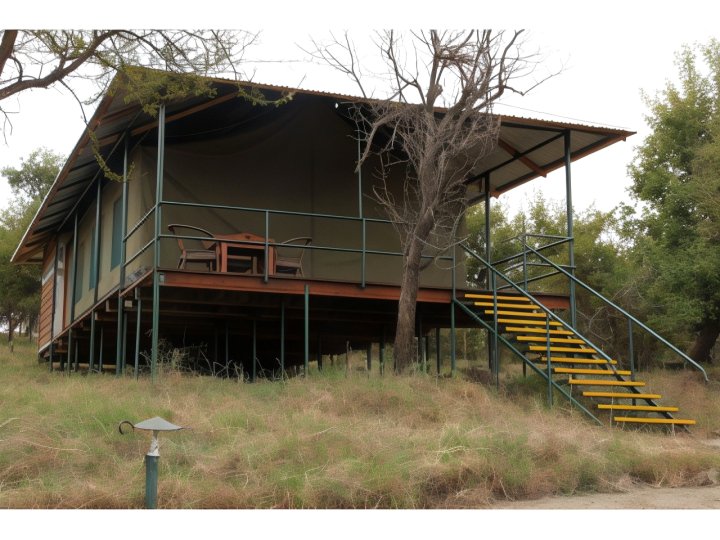 恩戈罗恩戈罗野营豪华帐篷(Ngorongoro Wild Camp)