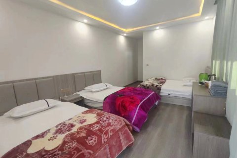 索松遇见山间民宿