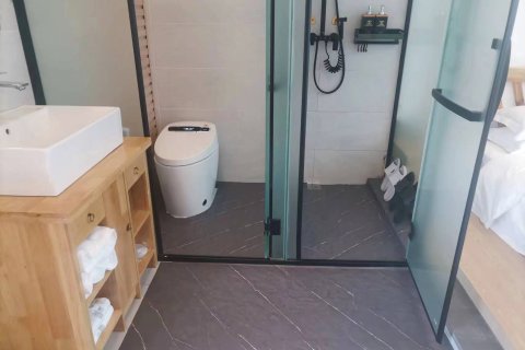 大理极浦水景别墅东门店