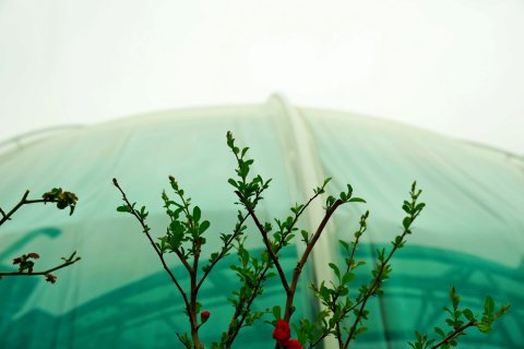 艾希亚酒店（巫溪赵家坝店）