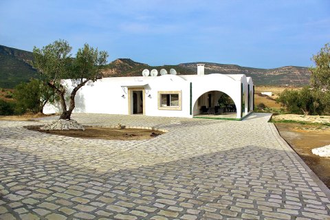 Villa in the Hammamet Mountain
