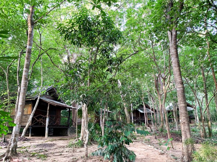 Foresta Cottage of Koh Pu No6197