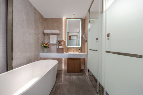 泰山天平湖开元名都大酒店