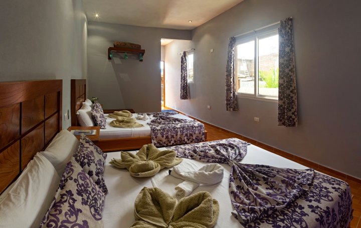Triple Room with Comfort and Air Condition - Hostal Cristina