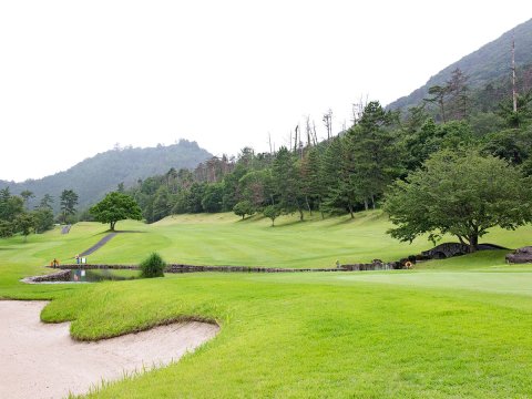 村庄森林妙见(Village Forest Myoken)