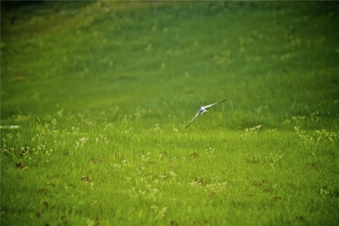苏州彤日涵园湖滨度假酒店