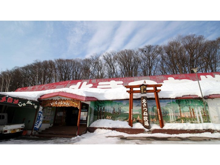 温泉酒店 杜鹃花庄(Hot Spring Hotel Tsutsujiso)