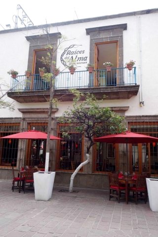 莱西斯戴尔艾尔马精品酒店(Raices del Alma Hotel Boutique)