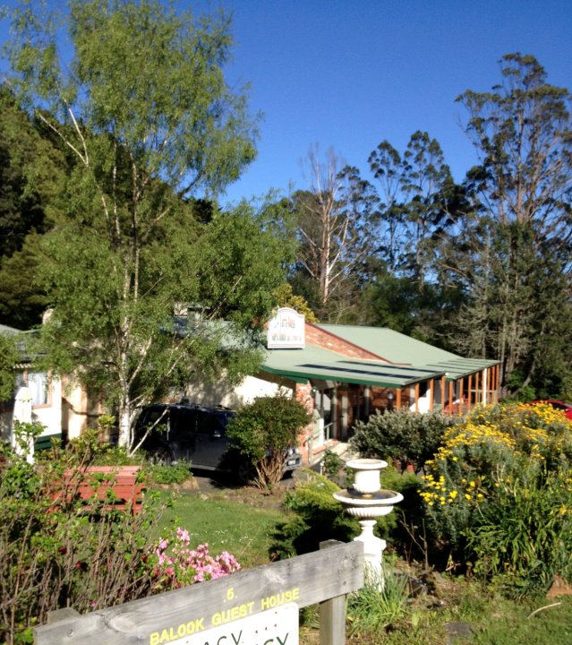 塔拉布加咖啡旅馆(Tarra-Bulga Guest House & Lyrebird Cafe)