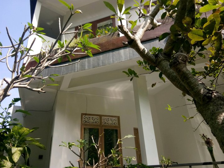 巴勒尼艺术民宿(Baleni Artistic Homestay)