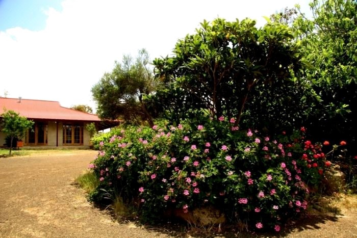 袋鼠岛KI Rural Retreat酒店(KI Rural Retreat Kangaroo Island)