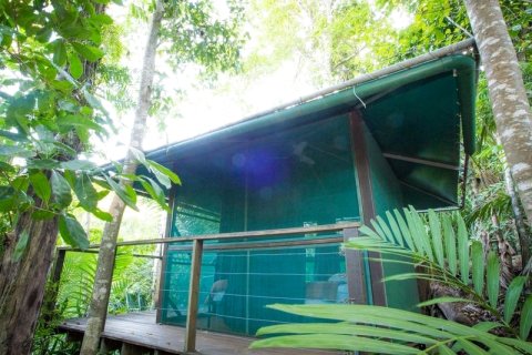 加纳海滩森科图瑞垂特山林小屋(Sanctuary Retreat Garners Beach)