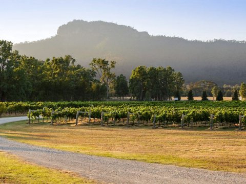 布洛克Unwind-The Dairy at Tinonee Vineyard Estate酒店(Unwind-The Dairy at Tinonee Vineyard Estate Broke)