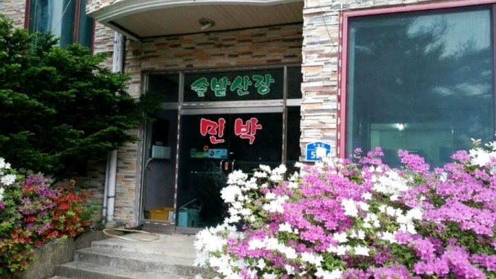 松树小屋度假屋(A Pine Hut Cabin Pension Pyeongchang)