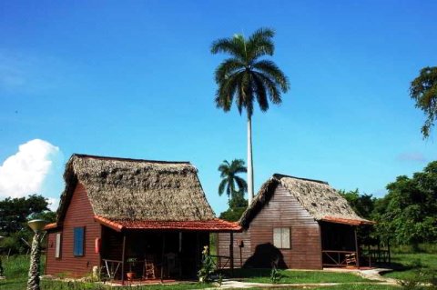 Batey Horizontes Don Pedro