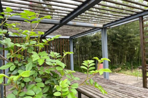 衢州圃舍源溪田园美宿(大荫山丛林飞越探险乐园店)