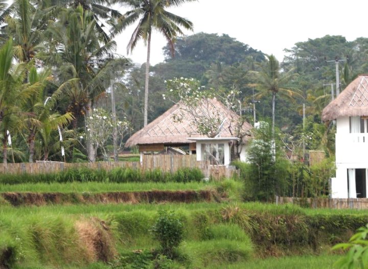 科诺玛雅萨乌布别墅(Kanomayasa Ubud Villa)