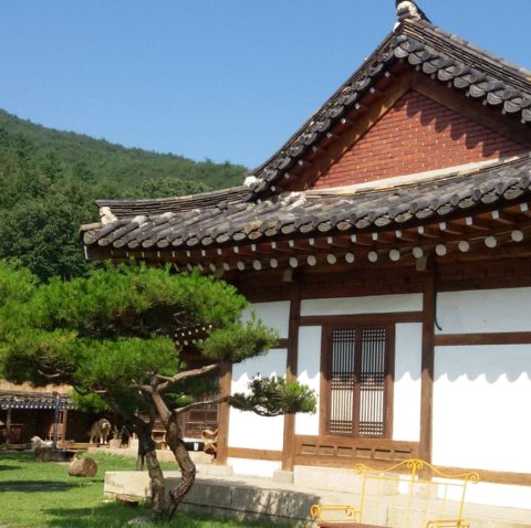 丹阳韩屋旅馆(Danyang Hanok Pension)