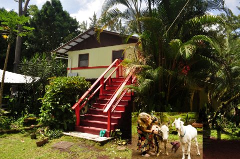 魔幻花园雨林民宿(The Enchanted Gardens Rainforest Bed & Breakfast)