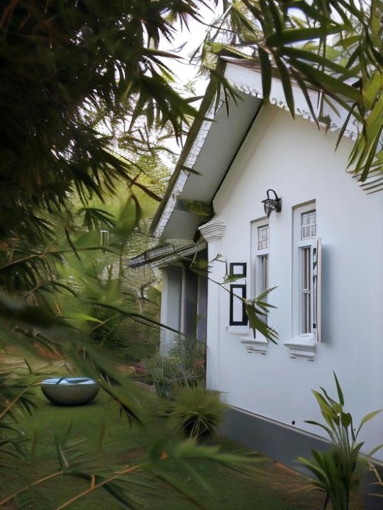 Bentota Bed & Breakfast