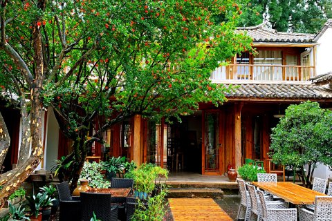 沙溪古镇至美·一树客栈