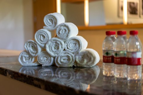 长白山鲁能胜地瑞士酒店度假村