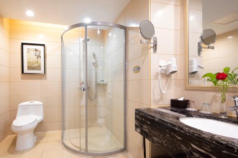 安庆碧桂园凤悦凤凰酒店(万达广场店)