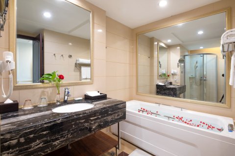 安庆碧桂园凤悦凤凰酒店(万达广场店)