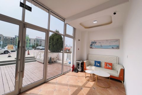 大连暖海岸青年旅舍(大连周水子国际机场店)