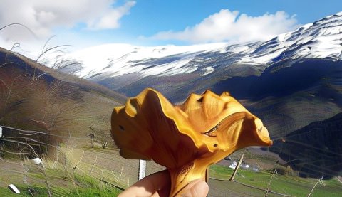 Refugio Alpujarra Alta