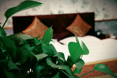 泰和山庄民宿(嘉峪关关城景区店)