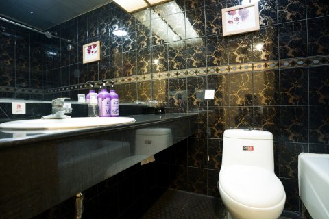 登封武都大酒店(市政府店)