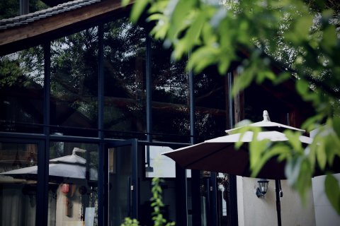 松阳小茶姑娘民宿