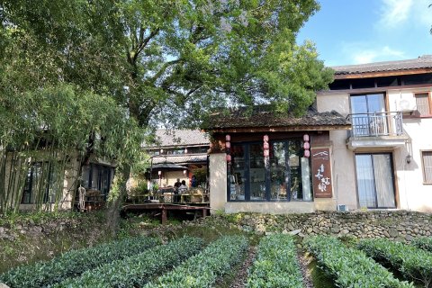 松阳小茶姑娘民宿