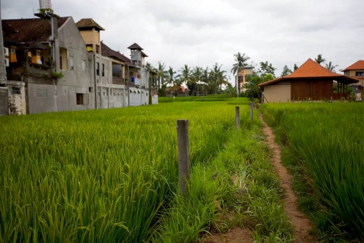 萨古纳家庭旅馆(Sadguna Homestay)