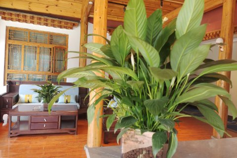 夏河红石国际青年旅舍