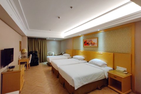 维也纳酒店(徐州苏宁广场德基广场店)