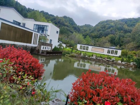 柏雨轩民宿