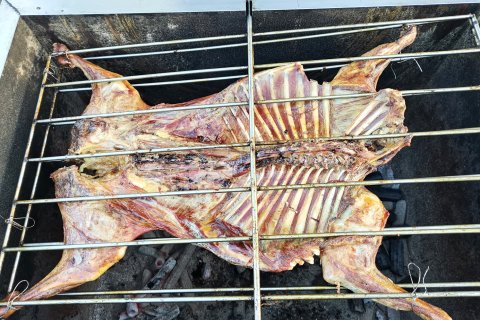 桓仁枫林度假山庄