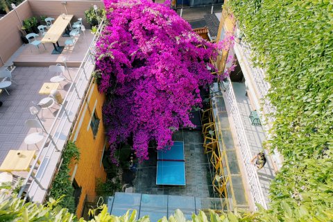 i野·大脚氏国际青年旅舍(金马碧鸡坊南屏步行街店)