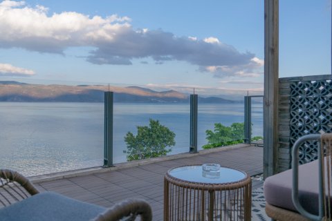 大理瓦猫云海景庭院客栈