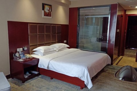 界首宝兰假日酒店(火车站店)