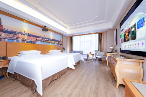 维也纳国际酒店(长沙红星德思勤广场店)