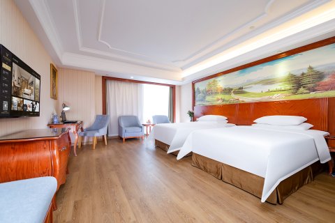 维也纳国际酒店(长沙红星德思勤广场店)