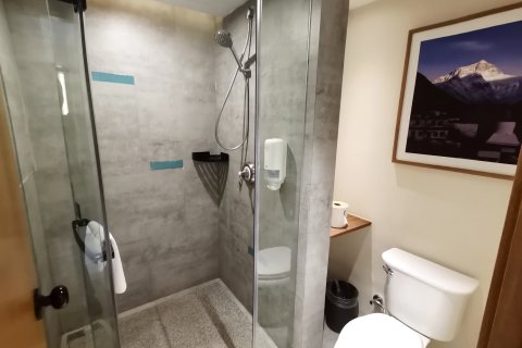 重庆飞花渡水宿