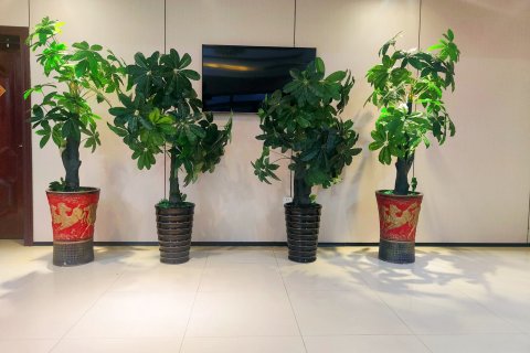 且末塔中沙柳宾馆