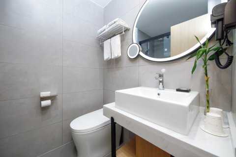 格林豪泰智选酒店(宁国宁阳东路大润发店)