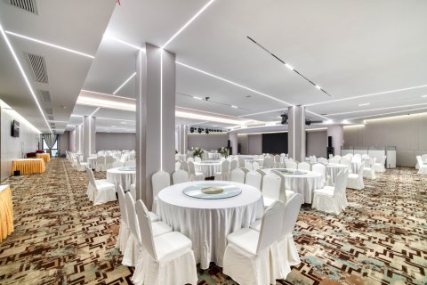 松阳天元国际酒店