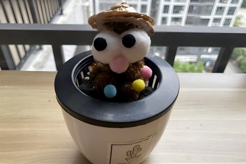 张家界喵先生主题客栈(张家界天门山国家森林公园店)